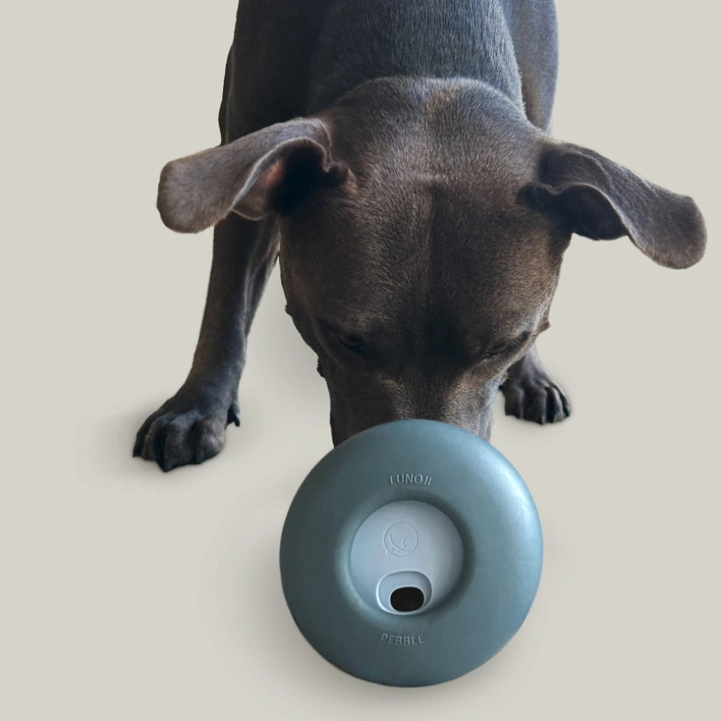 Pebble Enrichment Toy | Pink