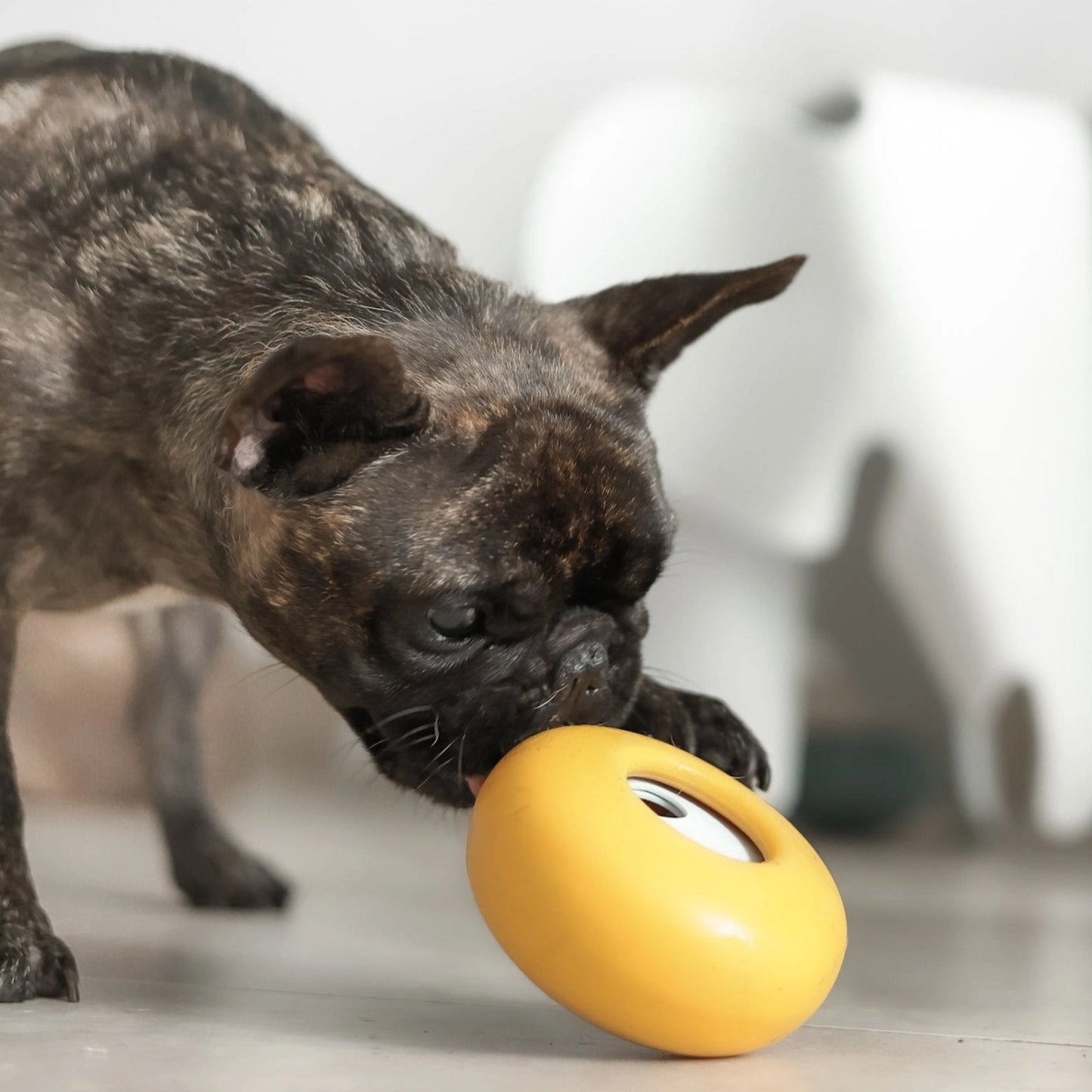 Pebble Enrichment Toy | Pink