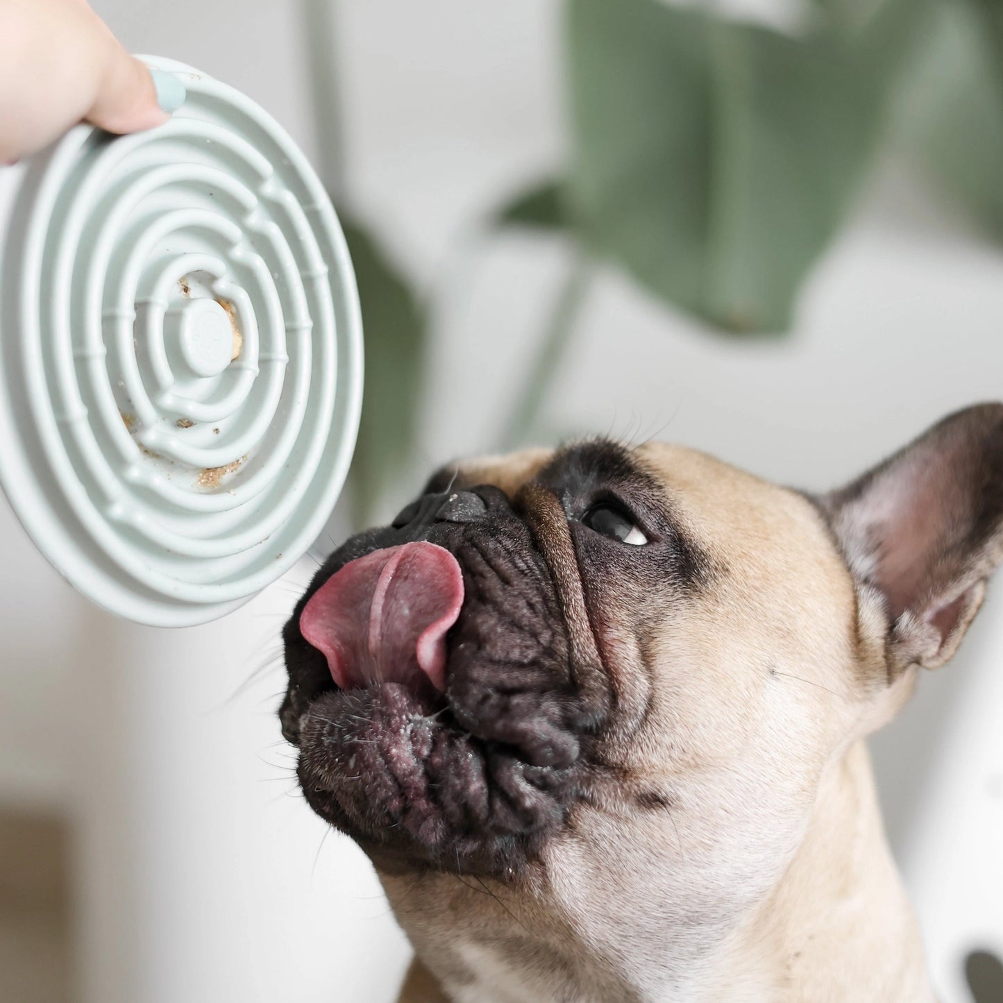 Twirl Lick Mat | Blue