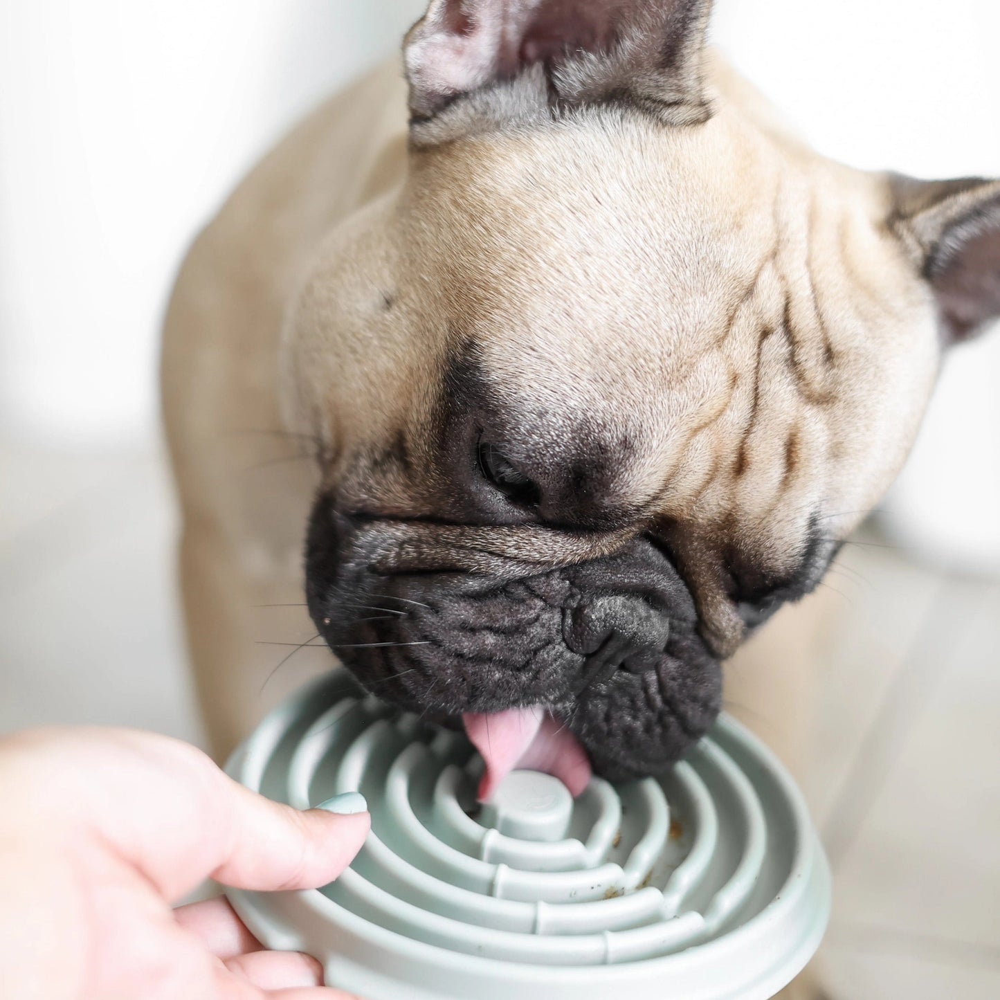 Twirl Lick Mat | Blue