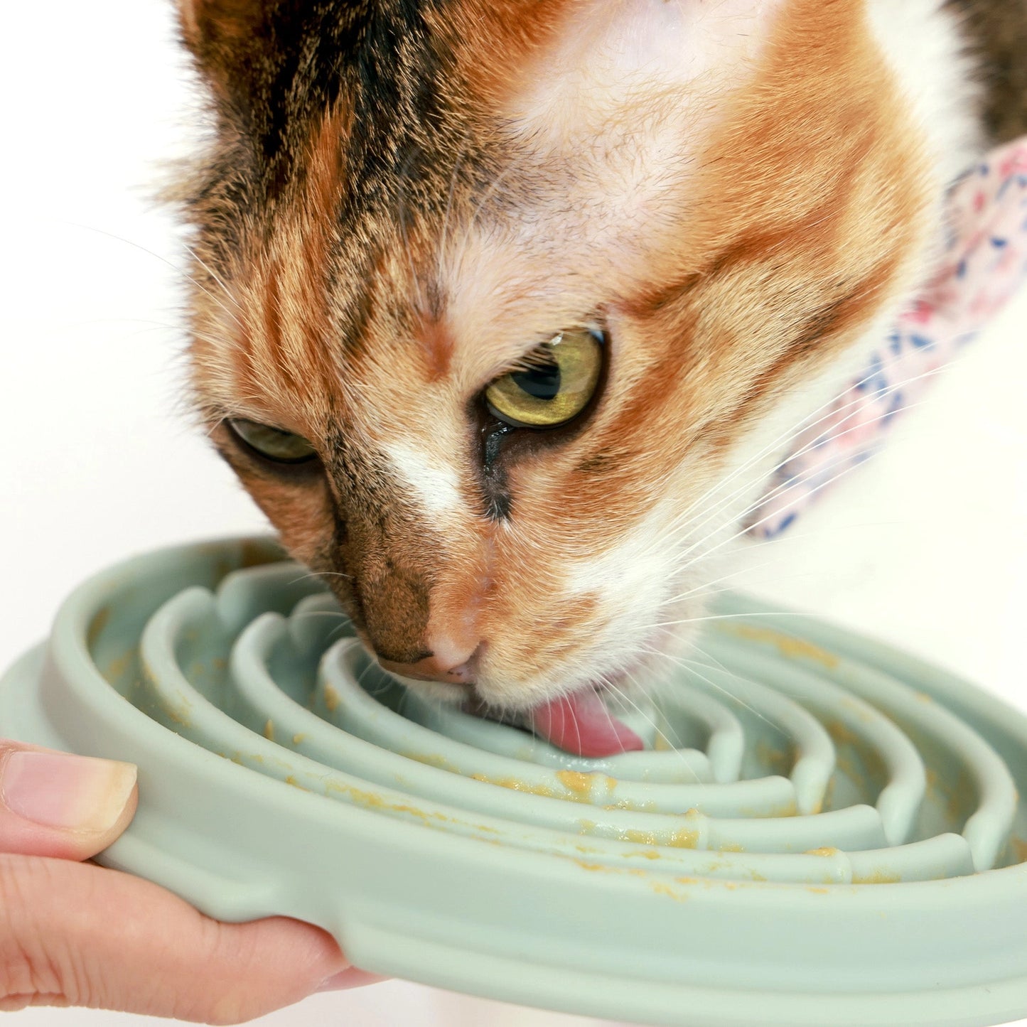 Twirl Lick Mat | Blue