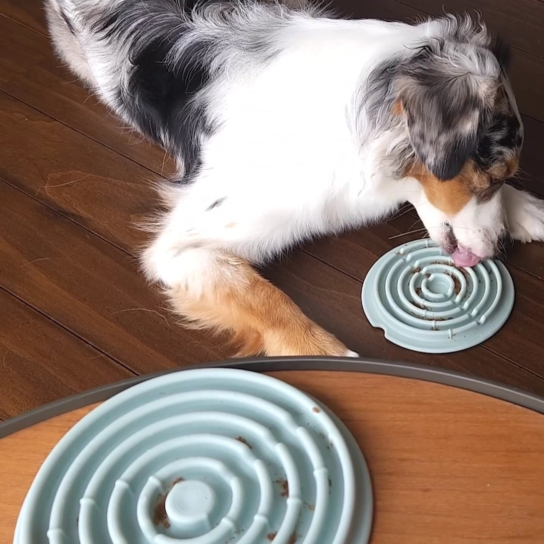 Twirl Lick Mat | Blue