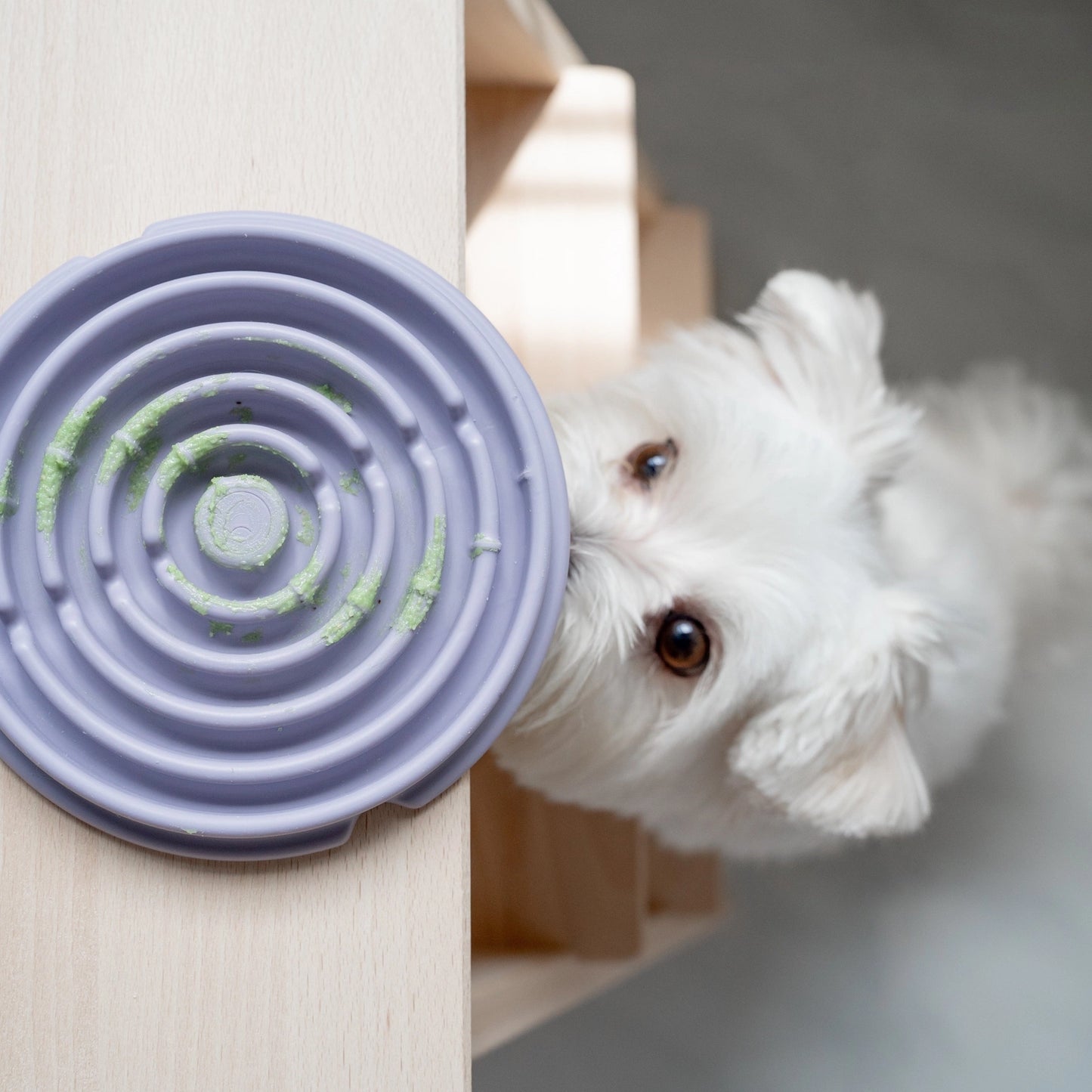 Twirl Lick Mat | Blue