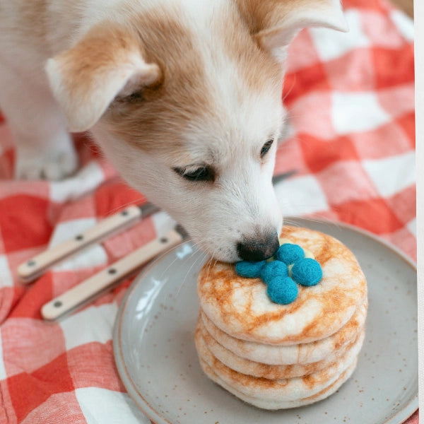 Wool Pancakes Toy