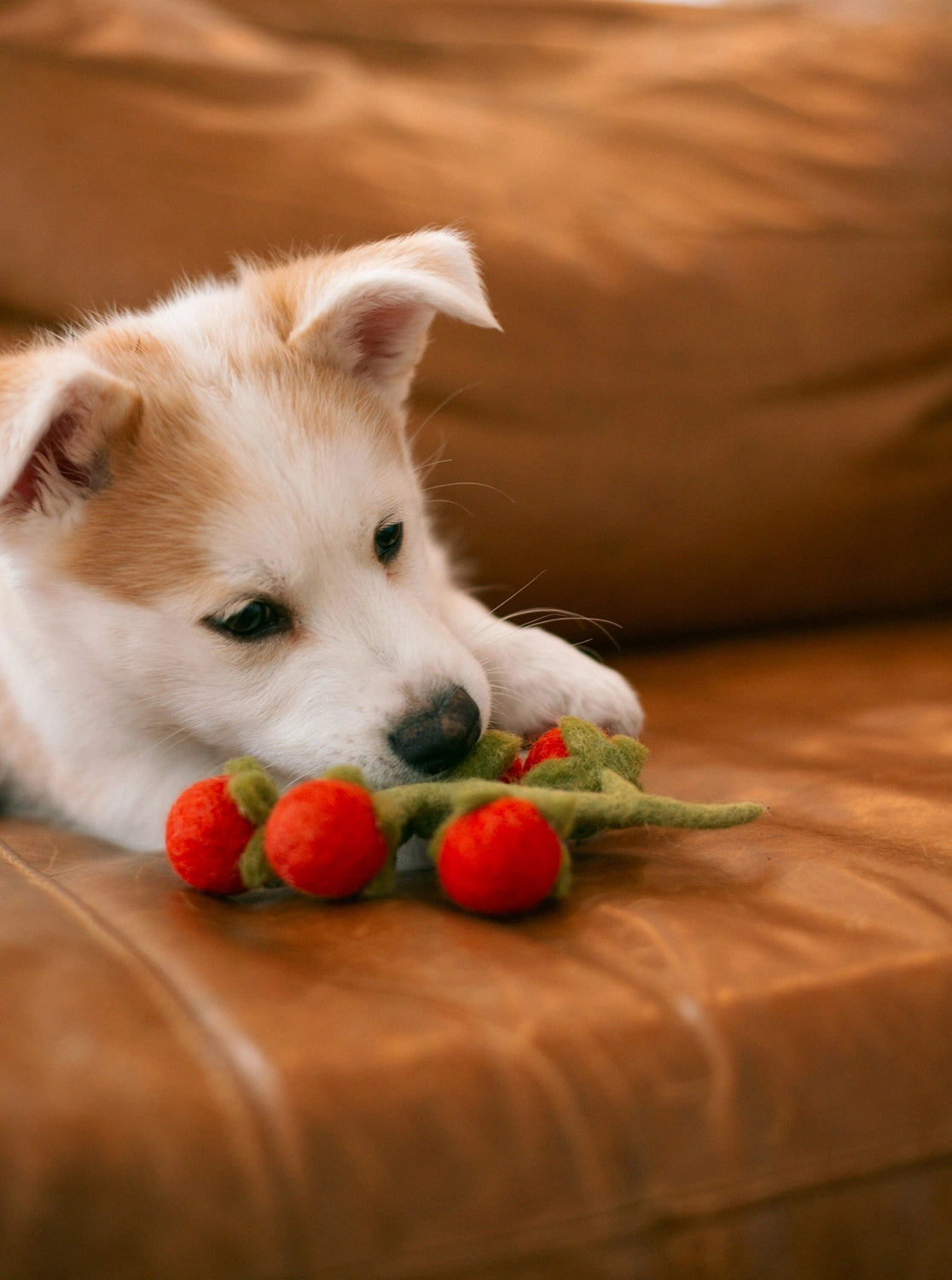 Wool Cherry Tomatoes Toy