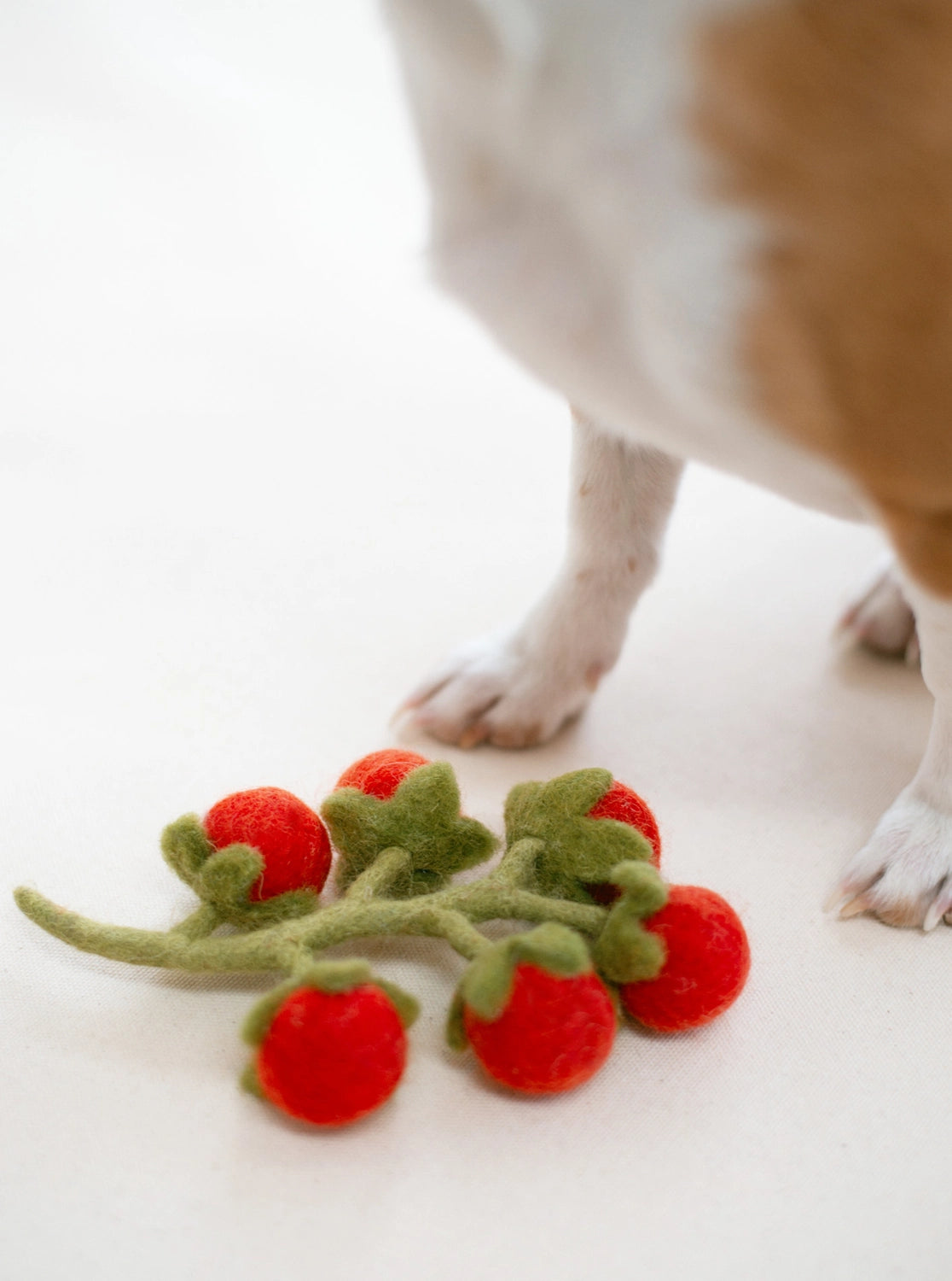 Wool Cherry Tomatoes Toy
