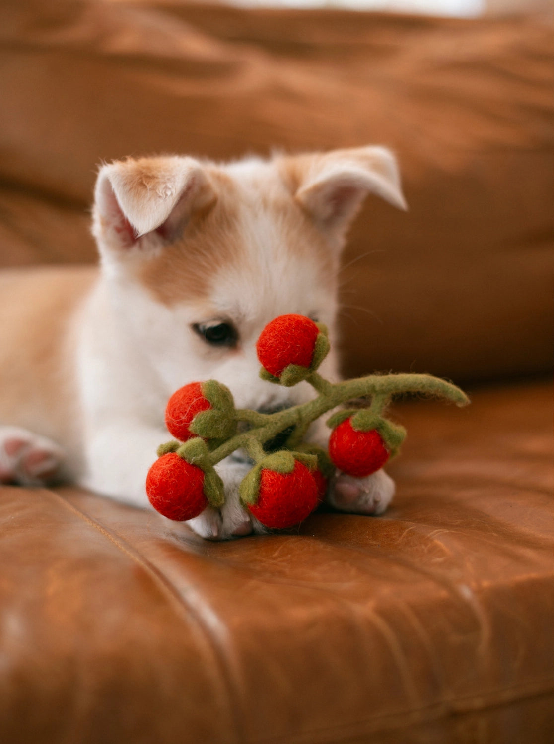 Wool Cherry Tomatoes Toy