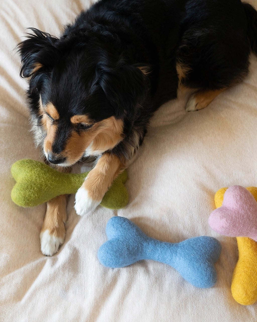 Wool Bone Toy | Grey