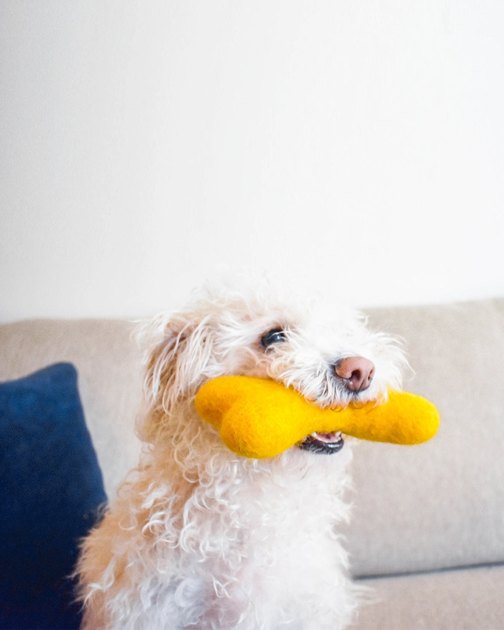 Wool Bone Toy | Grey