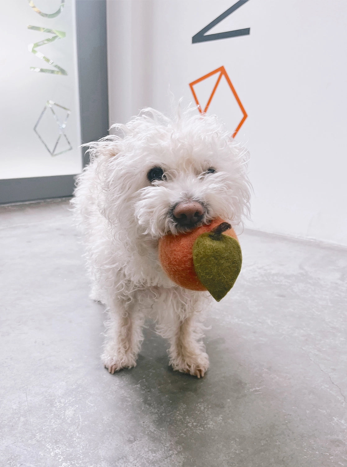 Wool Peach Toy
