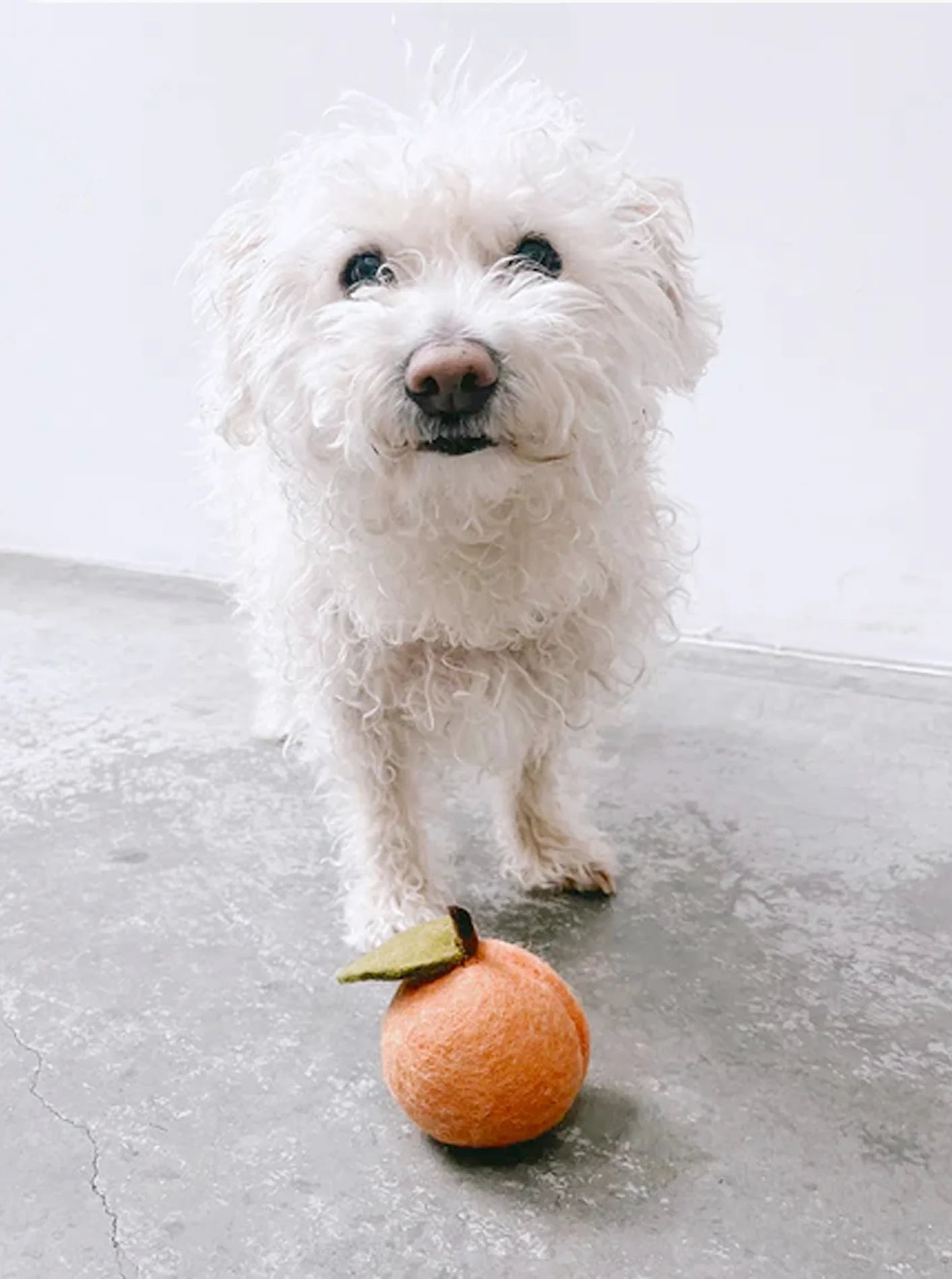 Wool Peach Toy