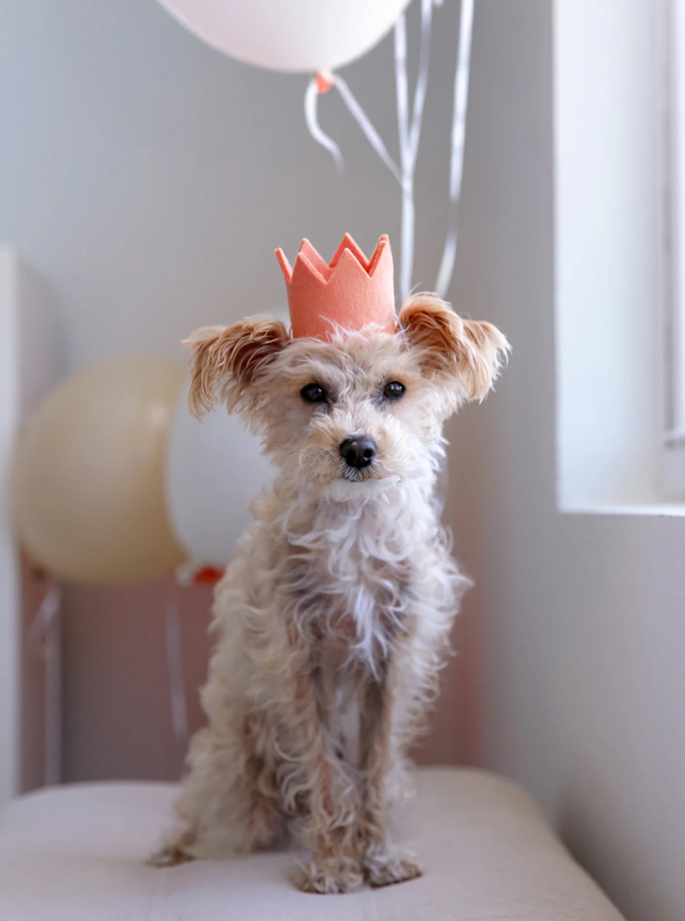 Wool Party Crown | Sand