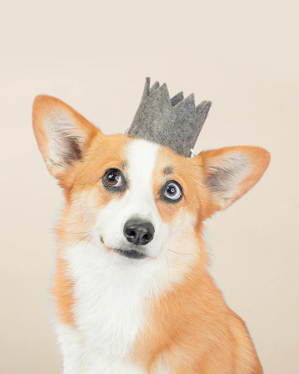 Wool Party Crown | Sand