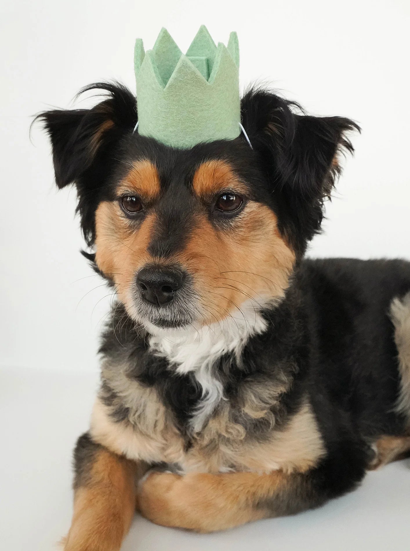 Wool Party Crown | Sand