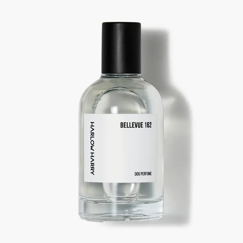 Perfume | Bellevue 162 (50ml)