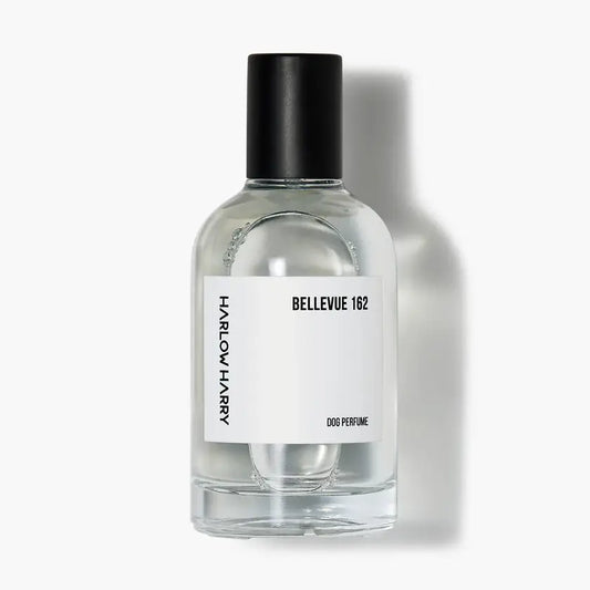 Perfume | Bellevue 162 (50ml)