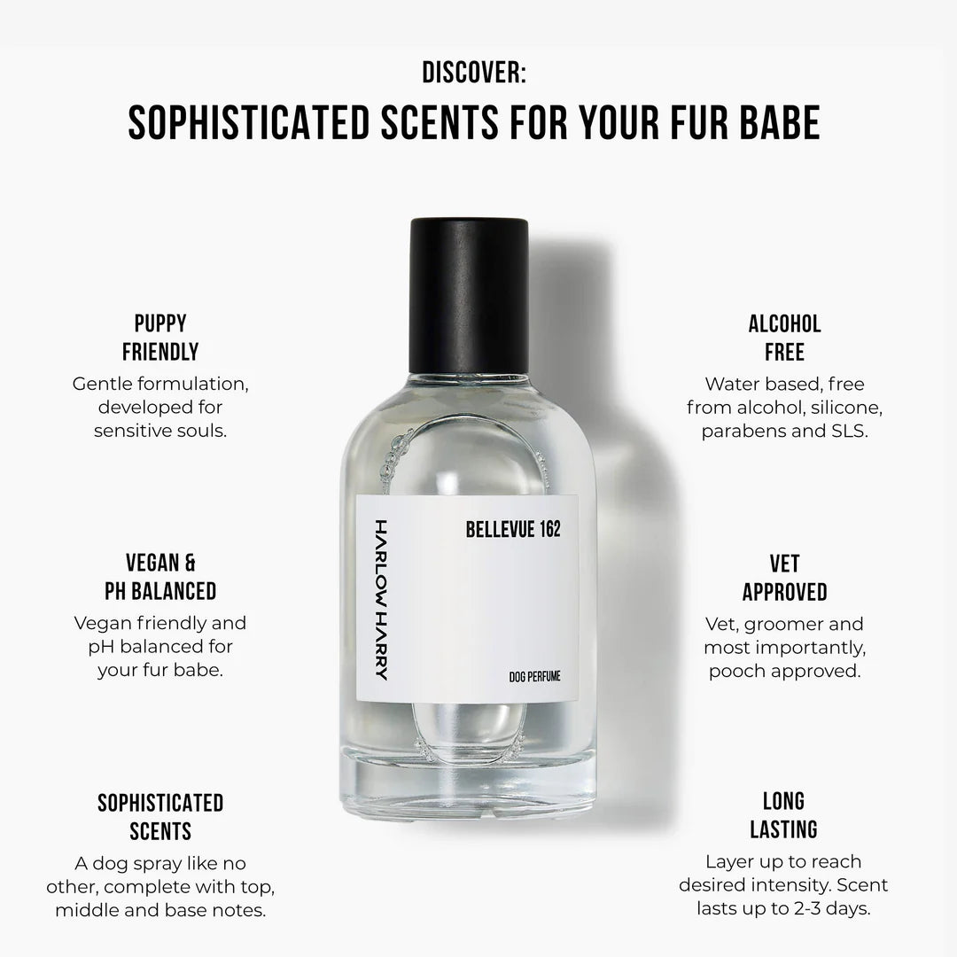 Perfume | Bellevue 162 (50ml)
