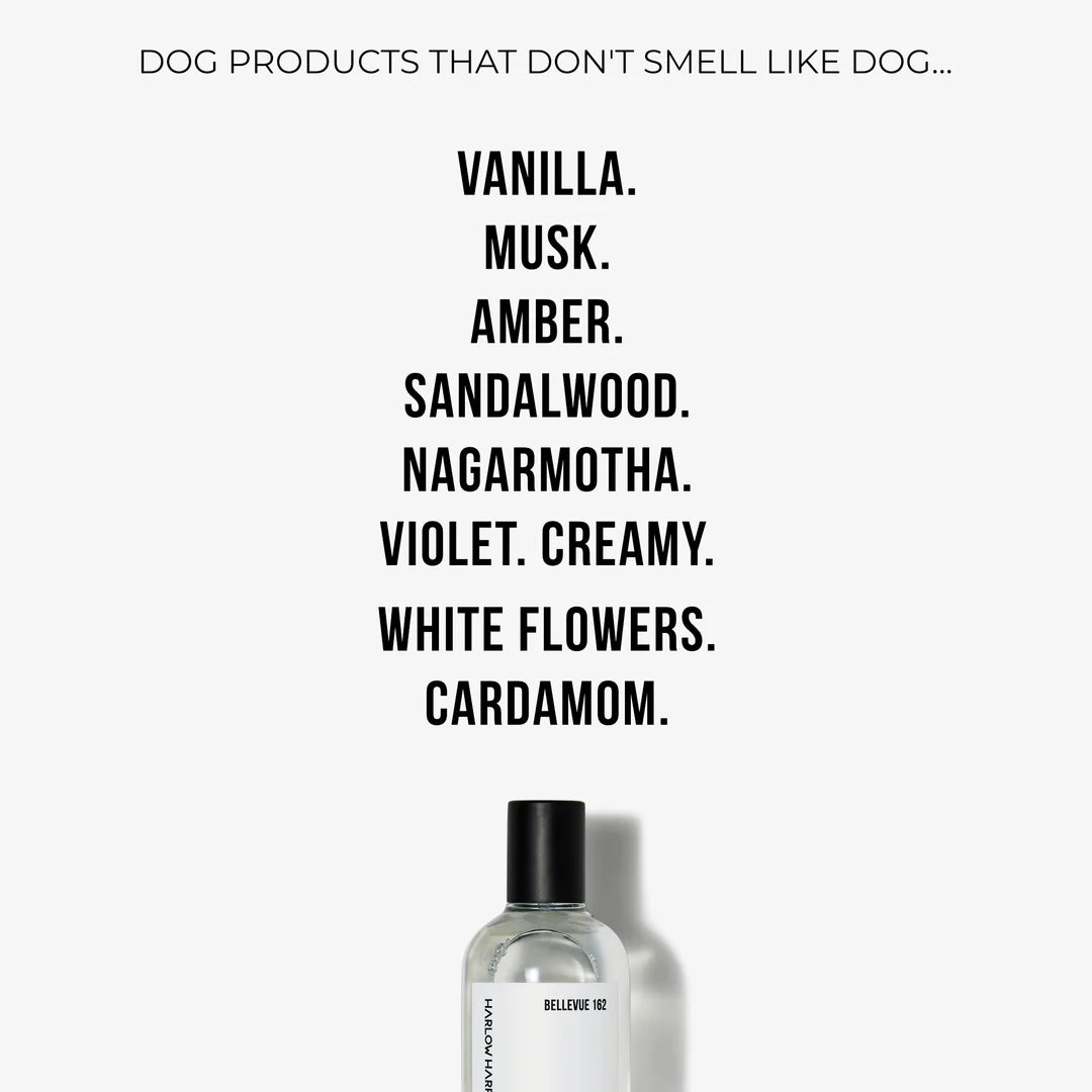Perfume | Bellevue 162 (50ml)