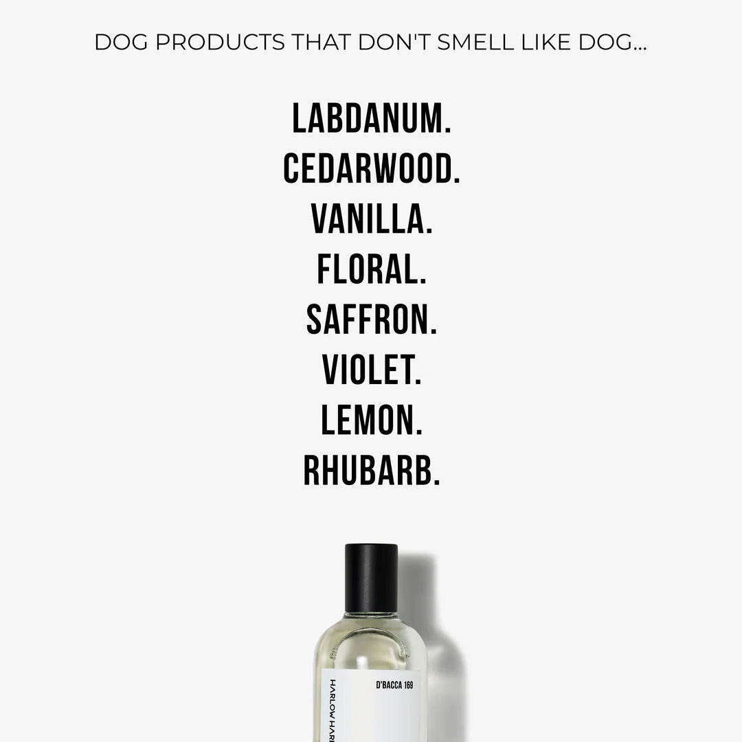 Perfume | D’bacca 169 (50ml)