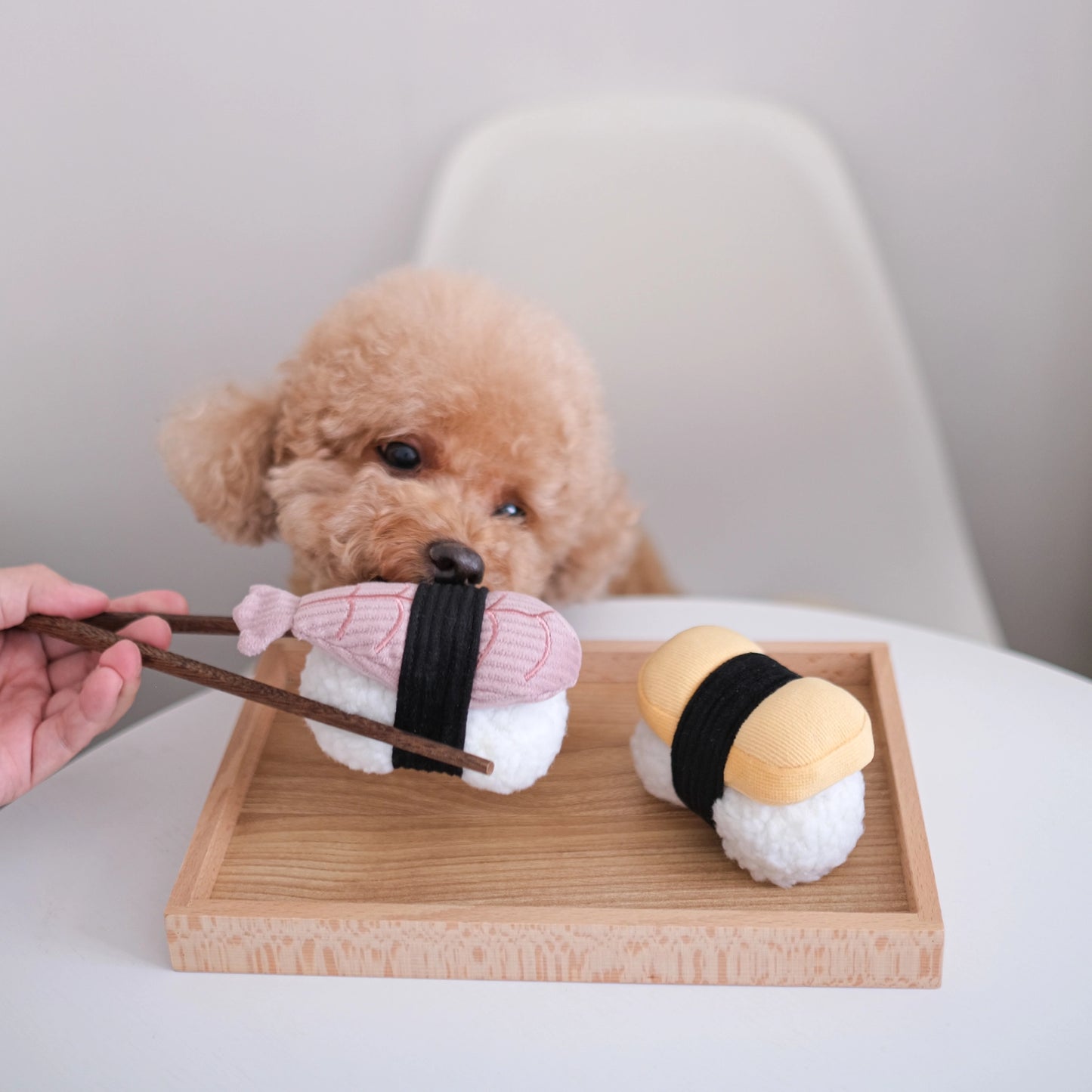 Sushi Set Enrichment Toy