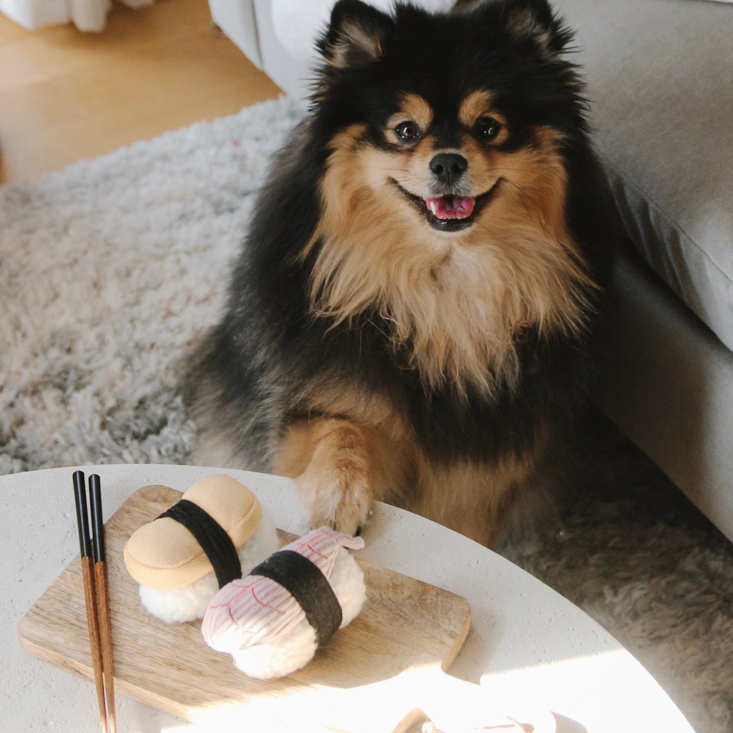 Sushi Set Enrichment Toy