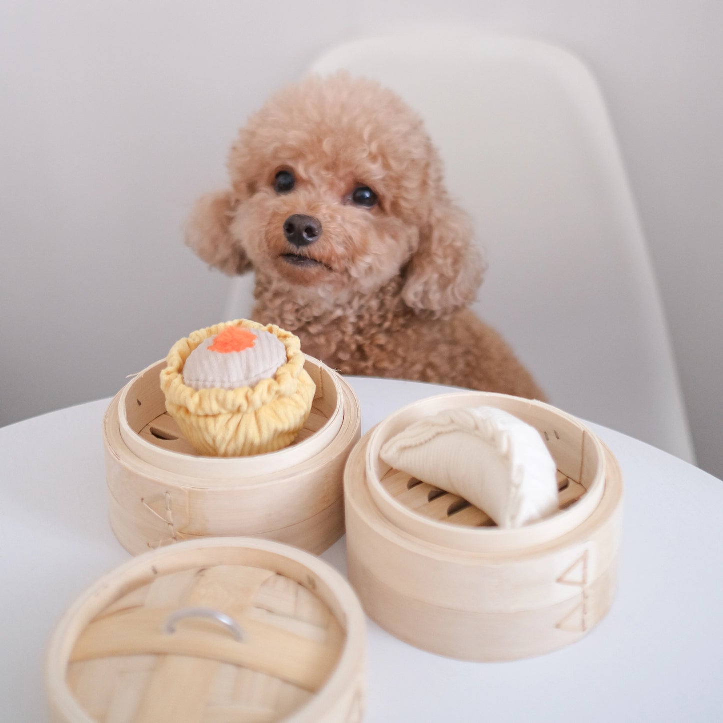 Dim Sum Set Enrichment Toy