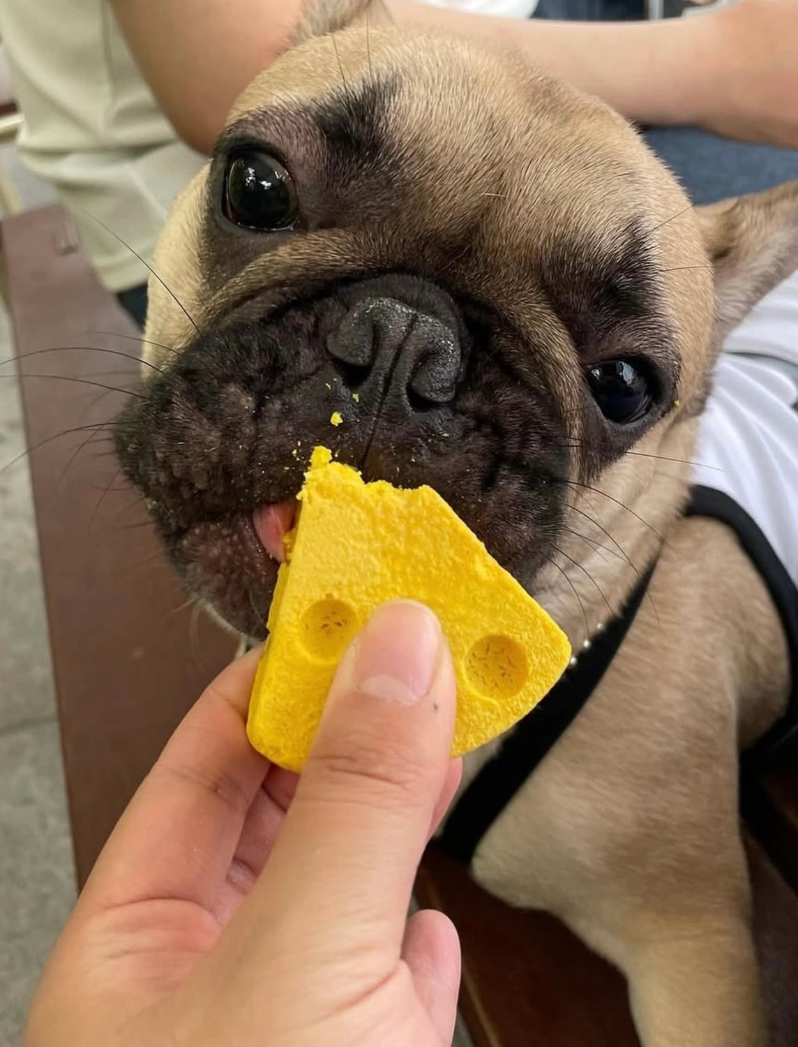 Lactose-Free Mung Cheese