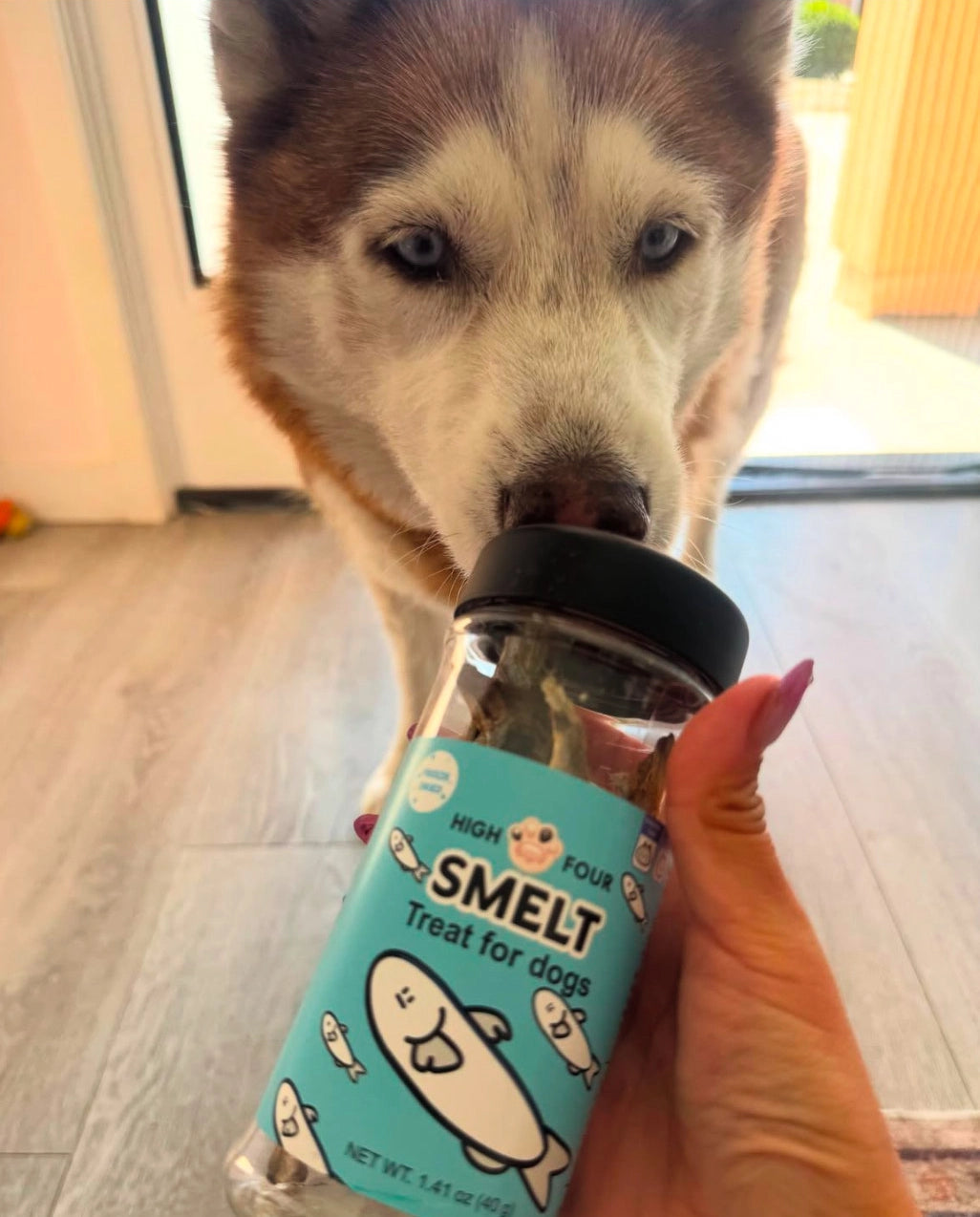 Freeze-Dried Whole Smelt