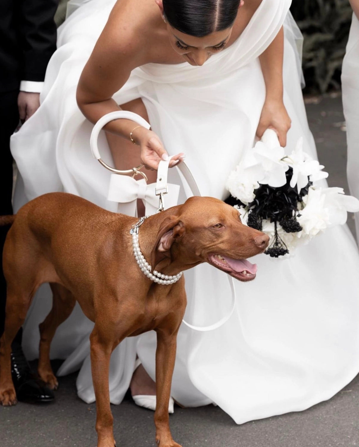 Bridal Leash & Bag Set