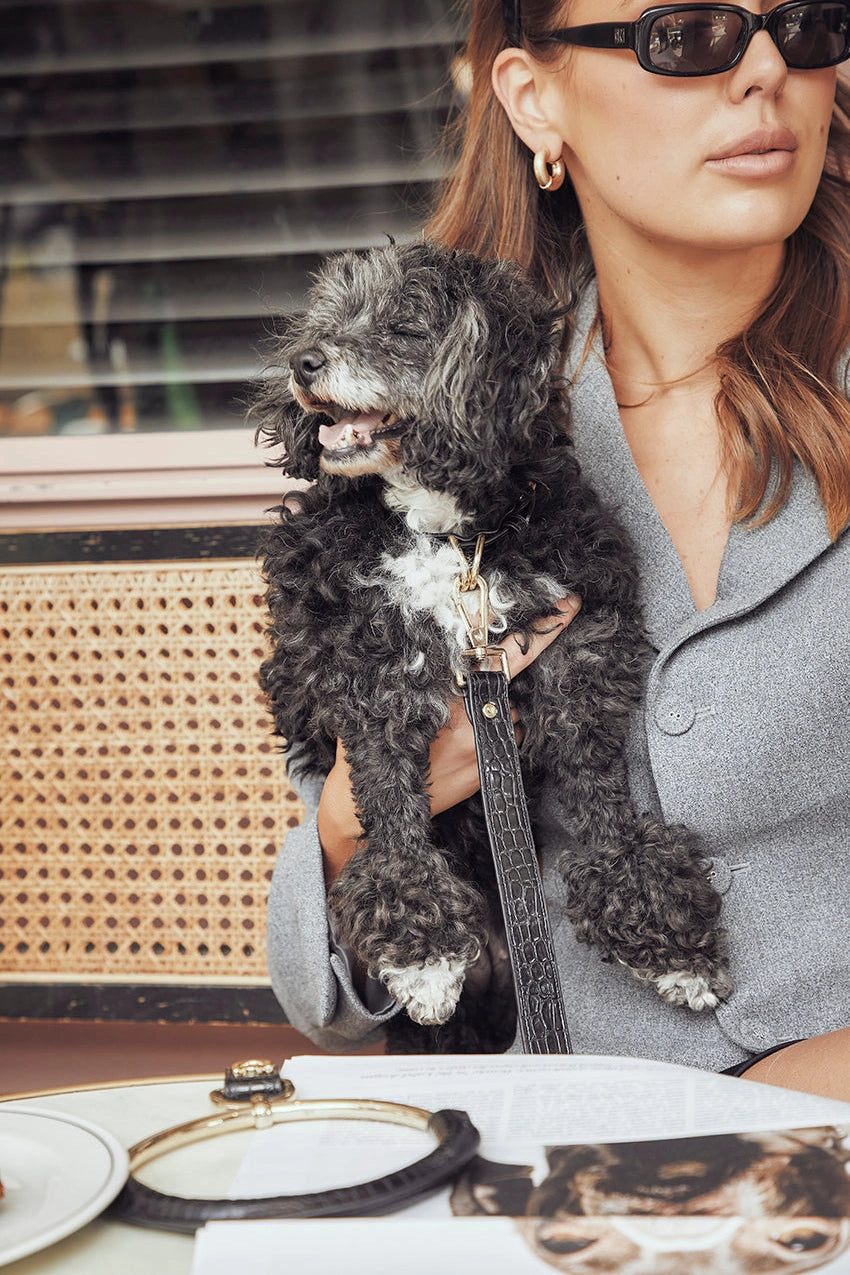 Vegan Circle Leash | Black