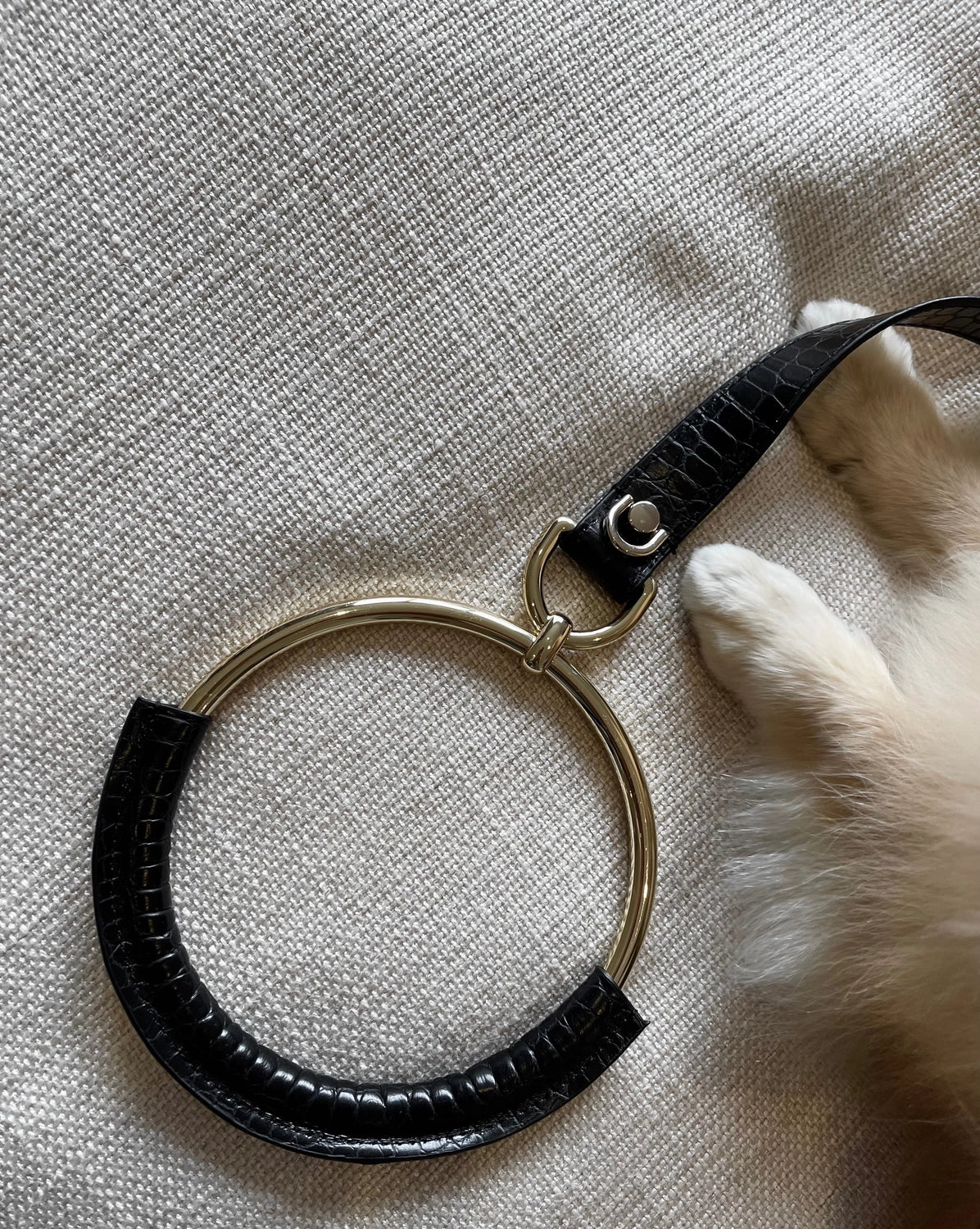 Vegan Circle Leash | Black