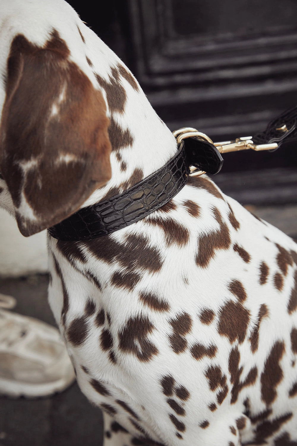 Vegan Collar | Black
