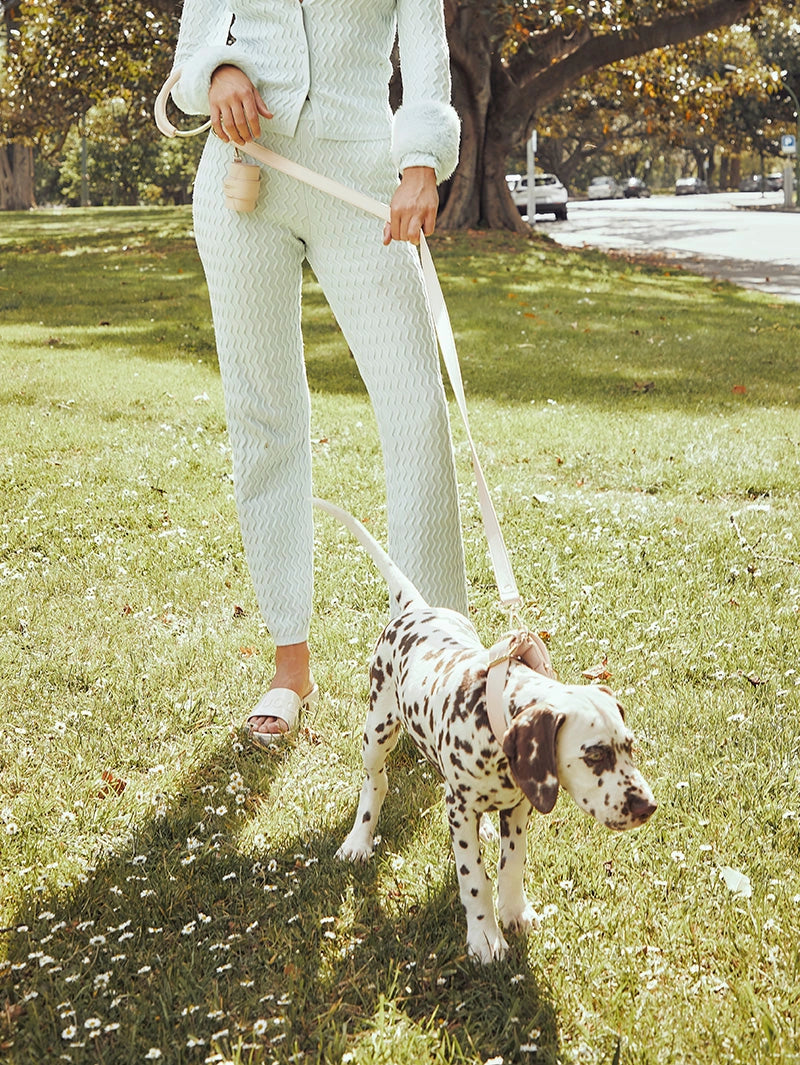 Vegan Circle Leash | Pink