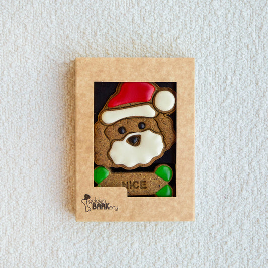 Christmas Nice/Naughty Biscuits