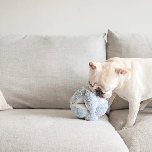 Monti Enrichment Toy | Blue