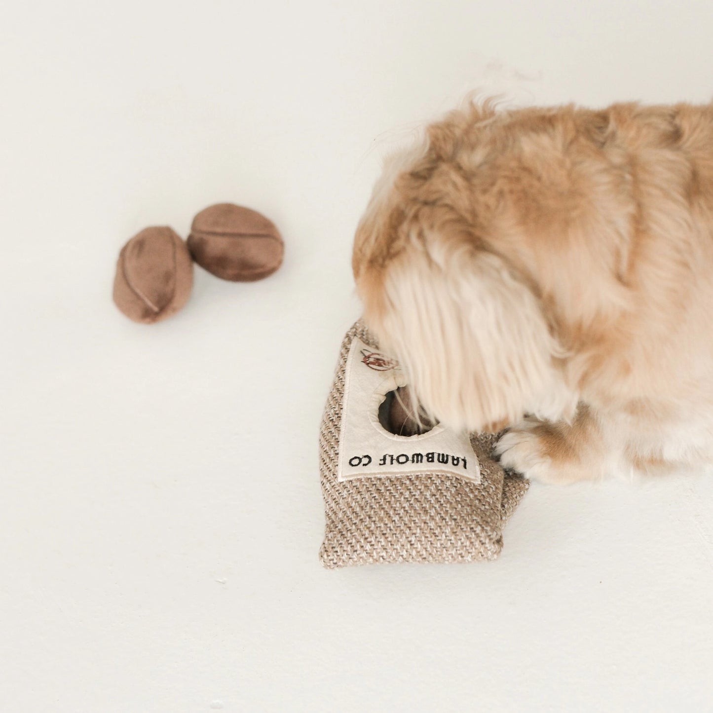 Coffee Enrichment Toy
