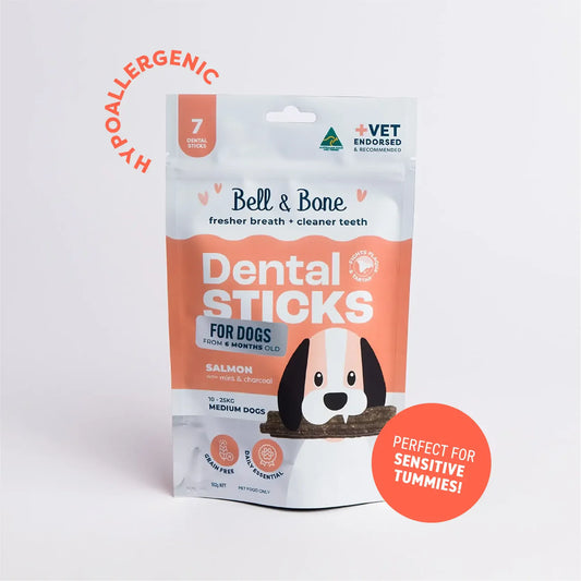 Adult Dental Sticks | Salmon
