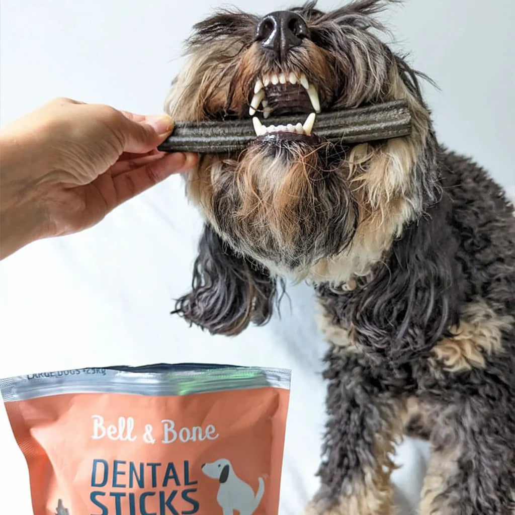 Adult Dental Sticks | Salmon