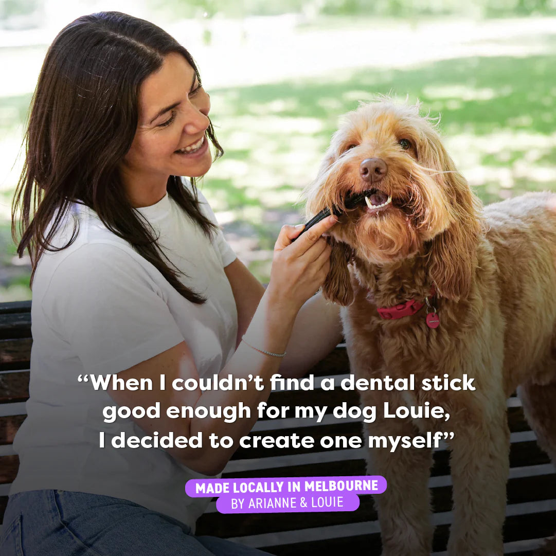 Adult Dental Sticks | Chicken