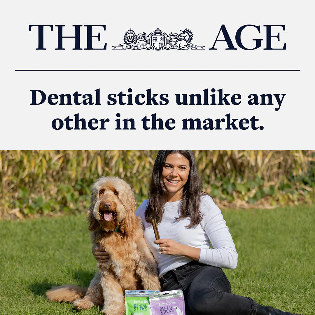Adult Dental Sticks | Chicken