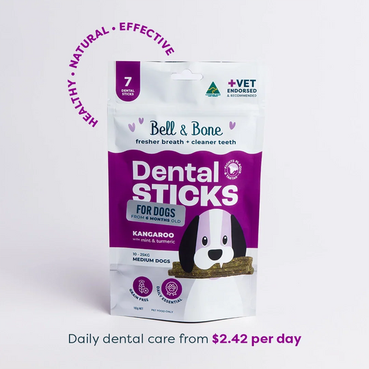 Adult Dental Sticks | Kangaroo