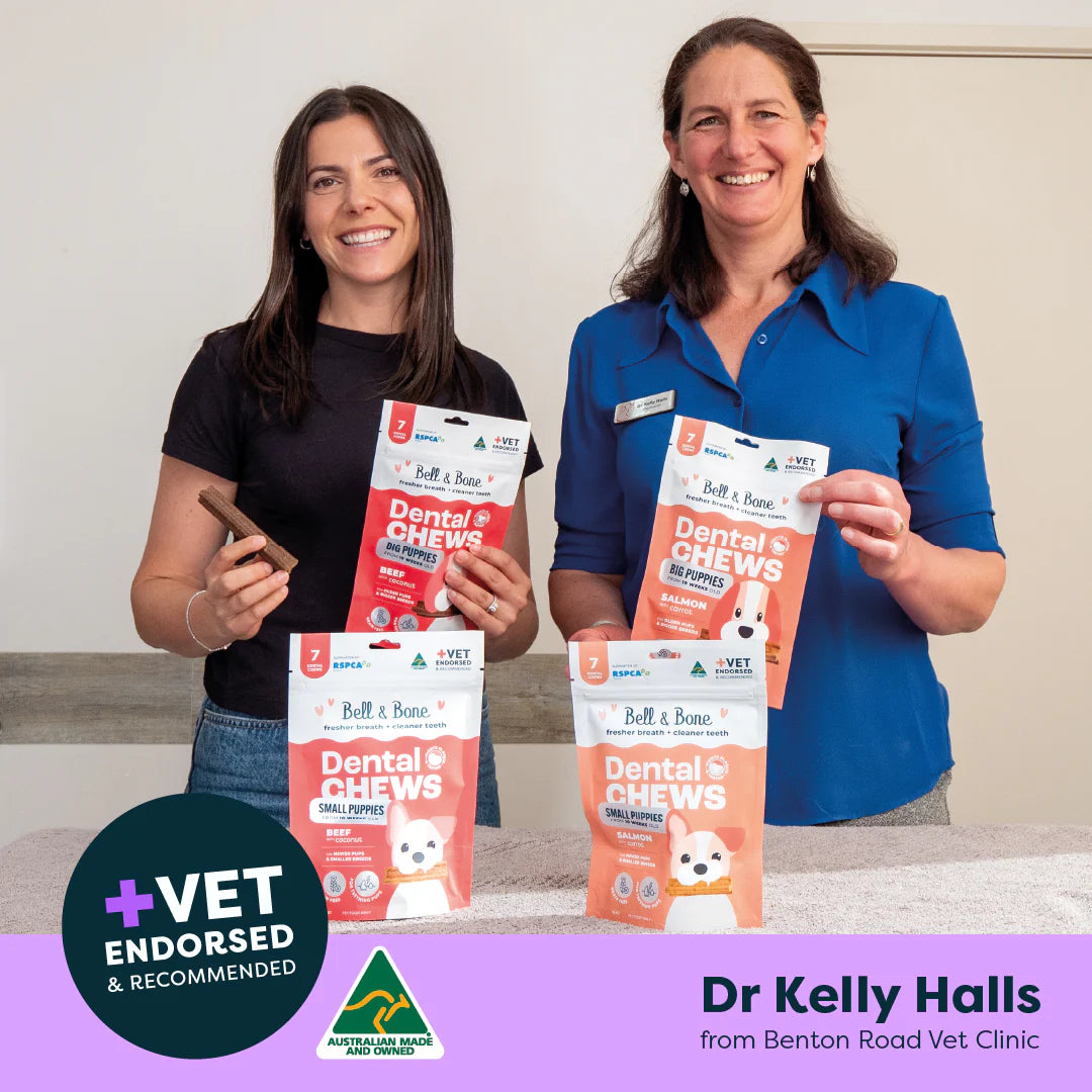 Puppy Dental Sticks | Salmon