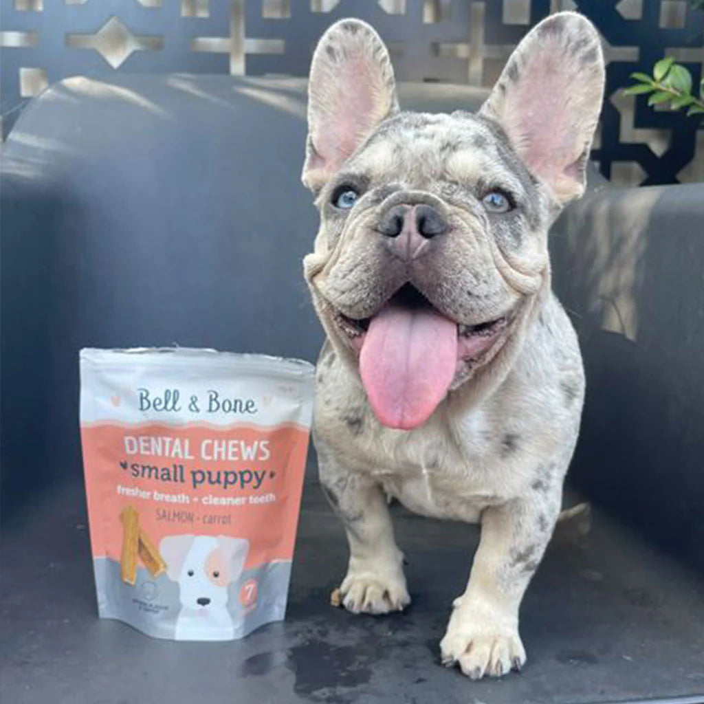 Puppy Dental Sticks | Salmon