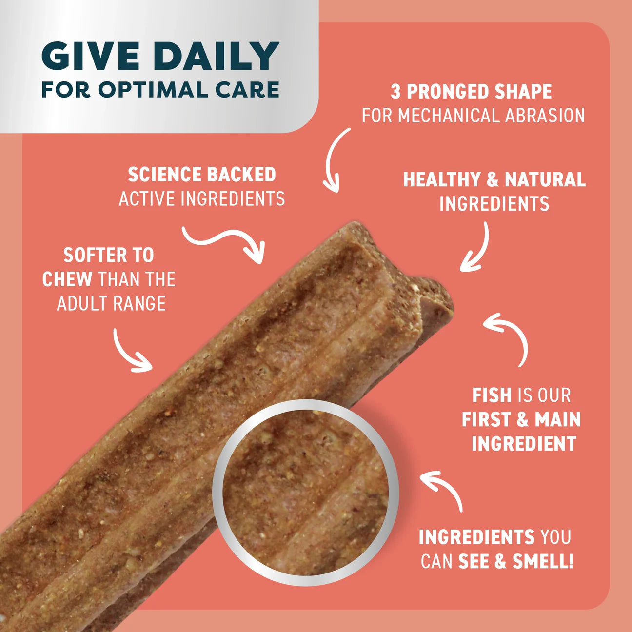 Puppy Dental Sticks | Salmon