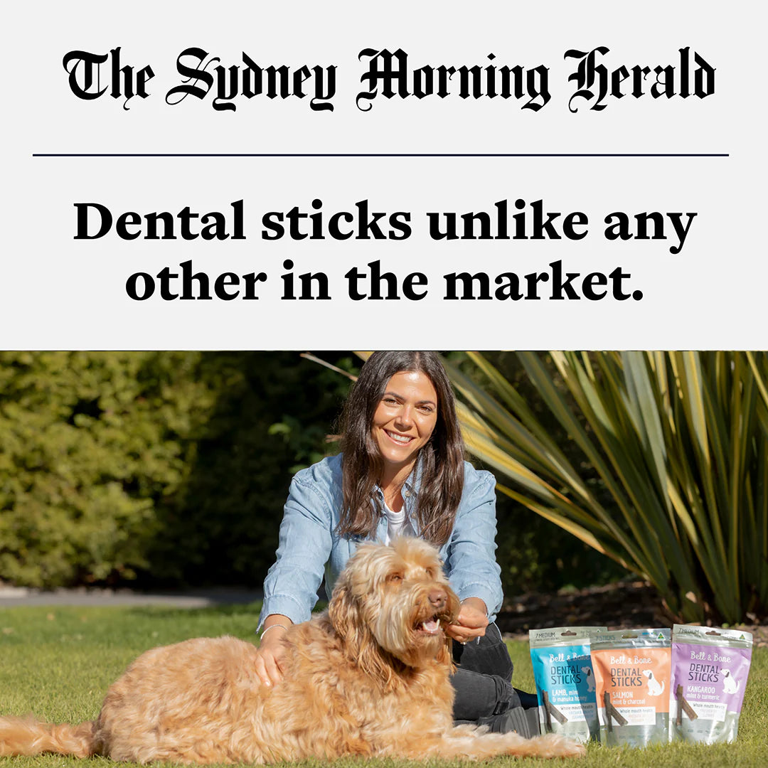 Puppy Dental Sticks | Salmon