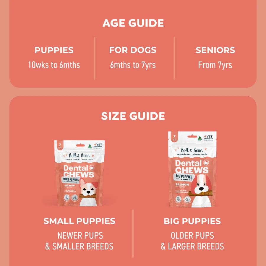 Puppy Dental Sticks | Salmon