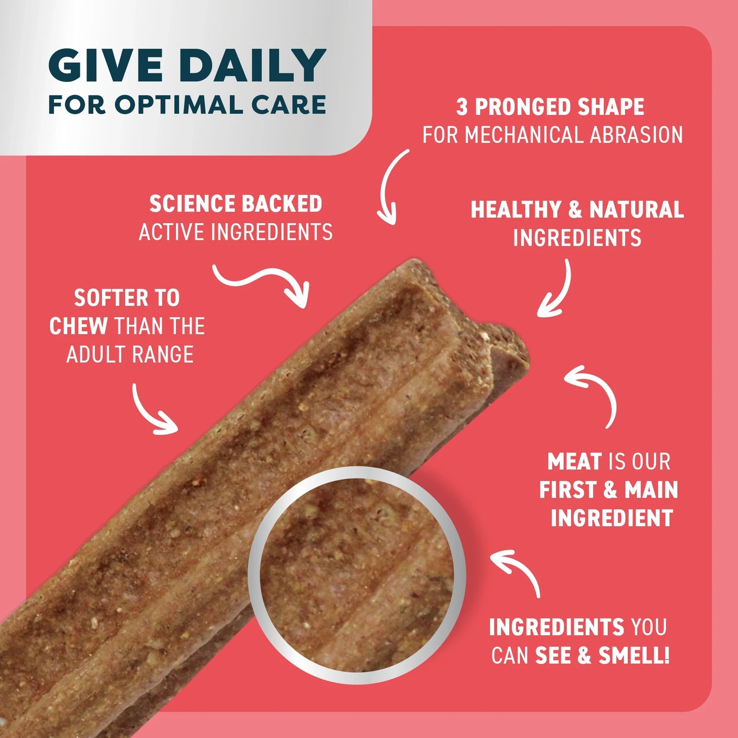 Puppy Dental Sticks | Beef
