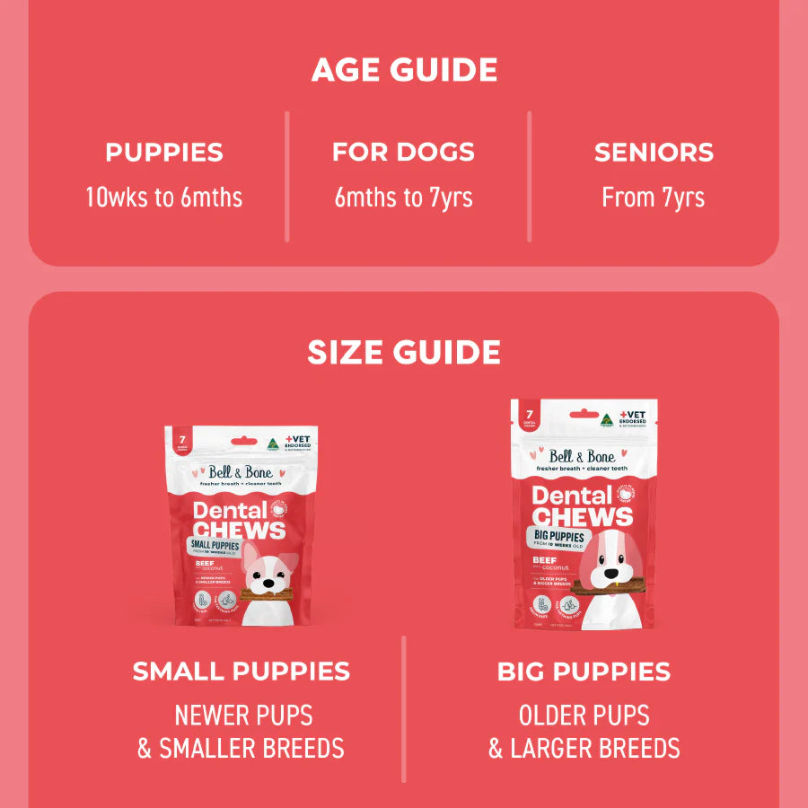 Puppy Dental Sticks | Beef