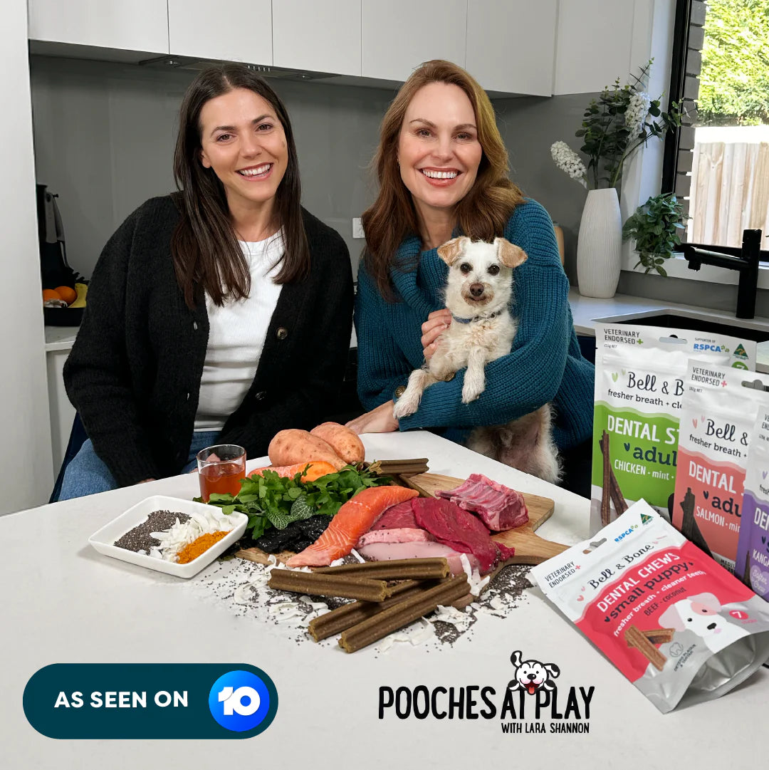 Puppy Dental Sticks | Beef