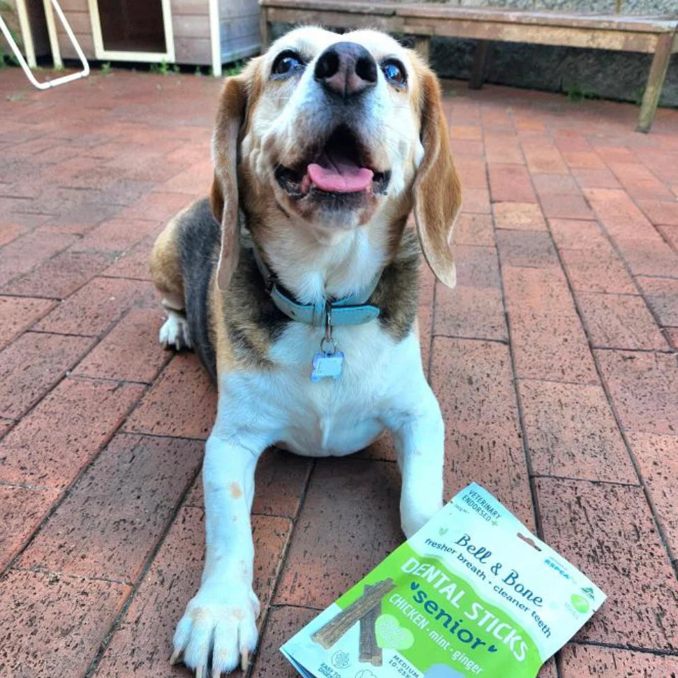 Senior Dental Sticks | Chicken